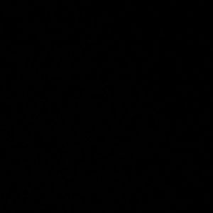 Meet your Posher, Alexia